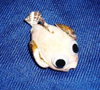 貝キャラクター　　　　　　　（魚・フグ）