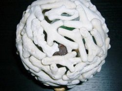 画像4: 珊瑚ランプ（B）