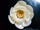 詳細Or別アングル画像3: 白い花（Ｄ）